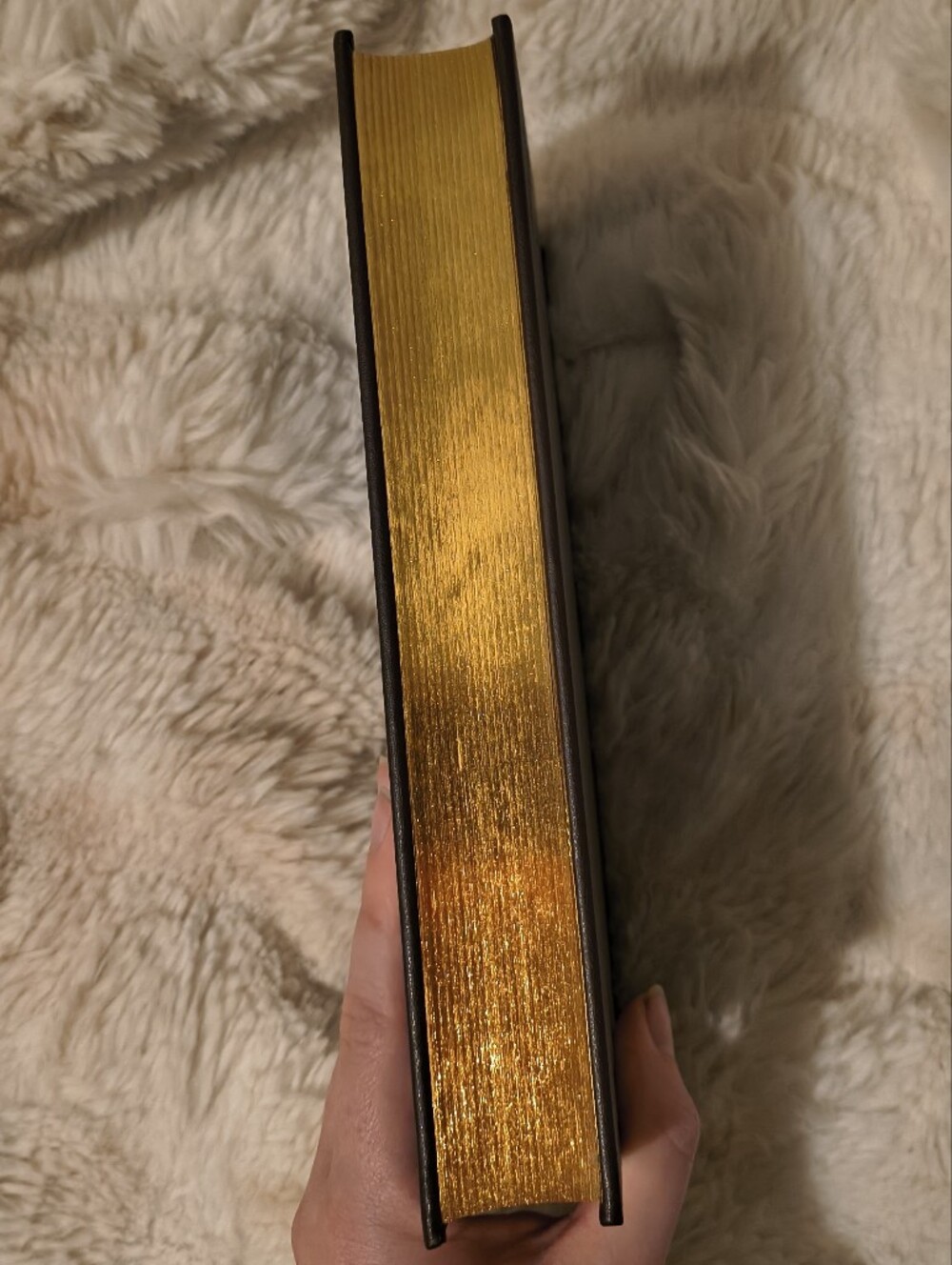 Fablehaven Keys To The Demon Prison Embossed Hardcover - Picture 4 of 7